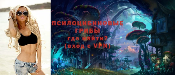 скорость mdpv Белокуриха