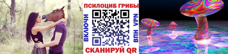 цена наркотик  Брюховецкая  mega ONION  Псилоцибиновые грибы Psilocybe 